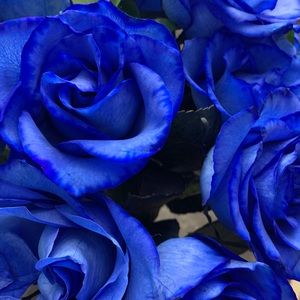 Meet your Posher, Sabrina